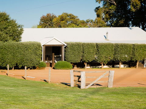 Vasse Virgin - Kempsey Accommodation 1