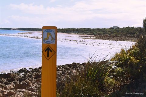 Walk The Yorke Trail - Kempsey Accommodation 2