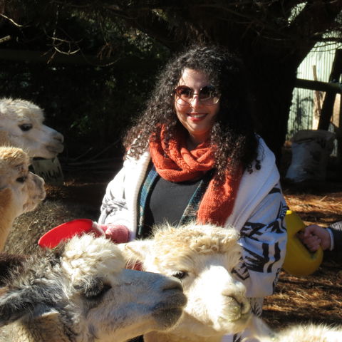 Alpaca Farm Experience At Crookwell - Kempsey Accommodation 1
