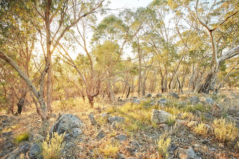 Alpine Views Walk - Kempsey Accommodation 0