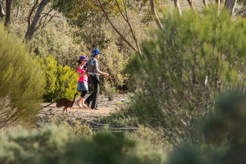 Australian Arid Lands Botanic Garden - Kempsey Accommodation 0