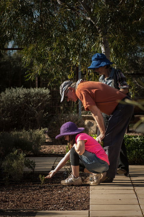 Australian Arid Lands Botanic Garden - Kempsey Accommodation 1