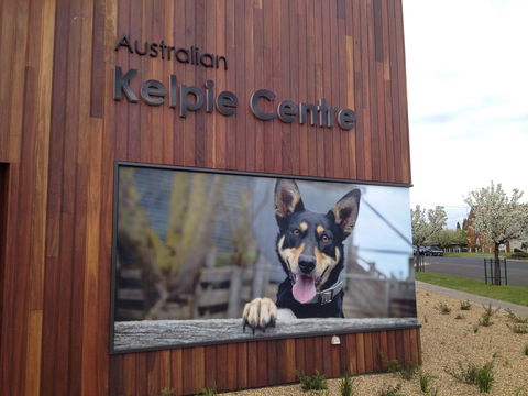 Australian Kelpie Centre - Kempsey Accommodation 0