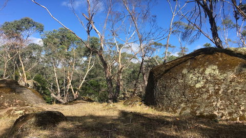 Bailey's Rocks - Dergholm State Park - Kempsey Accommodation 0