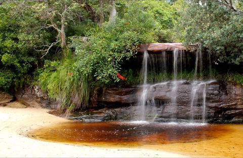 Collins Flat Beach - Kempsey Accommodation 0