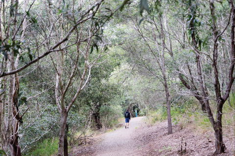 D'Aguilar National Park - Kempsey Accommodation 2