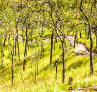 Davies Creek Mountain Bike Park - Kempsey Accommodation