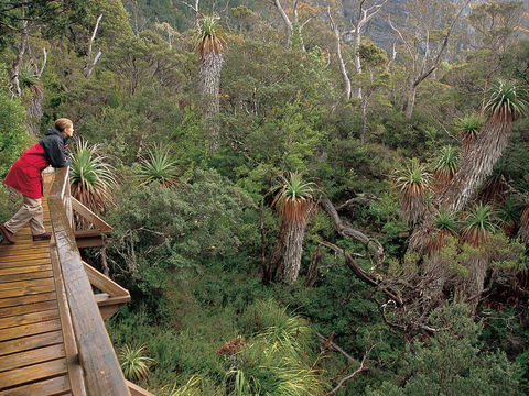 Dove Lake - Kempsey Accommodation 1