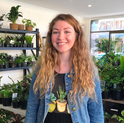 Fancy Plants - Kempsey Accommodation 2