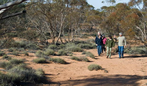 Mallee Stop Walking Track - Kempsey Accommodation 0