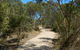 Meningie Lions Walking Trail - thumb 2