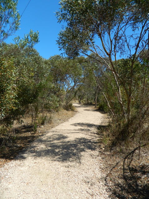 Meningie Lions Walking Trail - Kempsey Accommodation 2