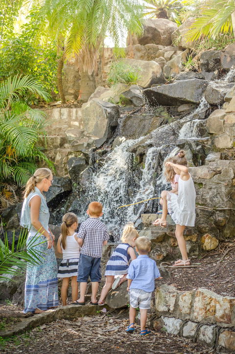 Queens Park Waterfall - Kempsey Accommodation 0