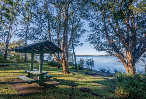 Queens Lake Picnic Area - Kempsey Accommodation 0