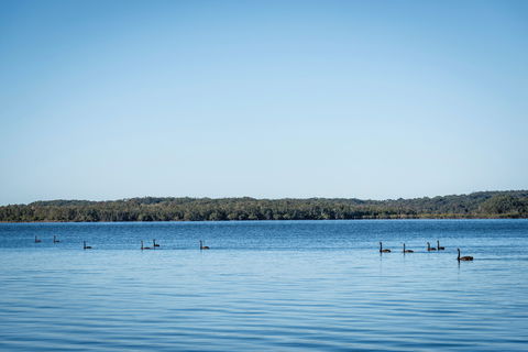Queens Lake Picnic Area - Kempsey Accommodation 1