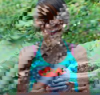 Ricardoes Tomatoes and Strawberries Farm Port Macquarie - Kempsey Accommodation