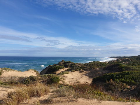 Rye Ocean Beach - Kempsey Accommodation 0