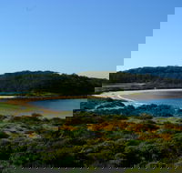 Snorkelling Broulee Island