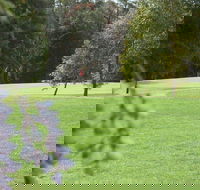 Springwood Country Club - Kempsey Accommodation