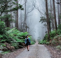The Corn Trail Walking Track - Kempsey Accommodation