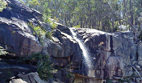 Ugly Corner Falls Walking Track - Kempsey Accommodation 0