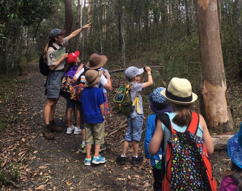 Walkabout Creek Discovery Centre - Kempsey Accommodation 1