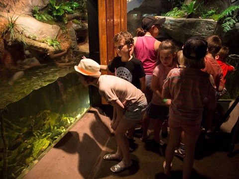 Walkabout Creek Discovery Centre - Kempsey Accommodation 2