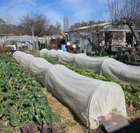 Wynlen House Tour a Unique Urban Regenerative Farm and Market Garden - Kempsey Accommodation