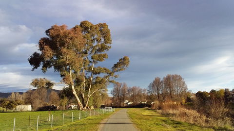 Adelong Falls Walk - Kempsey Accommodation 0