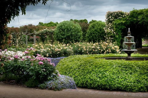 Alowyn Gardens And Nursery - Kempsey Accommodation 1