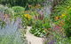 Alowyn Gardens And Nursery - thumb 2