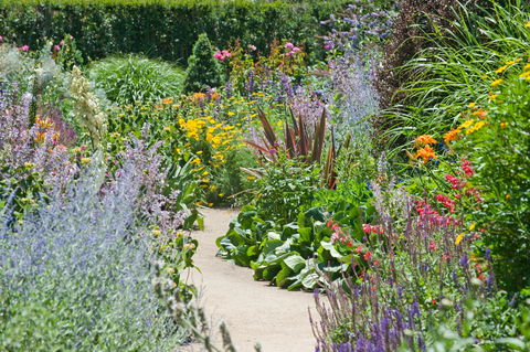 Alowyn Gardens And Nursery - Kempsey Accommodation 2