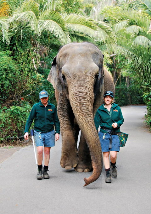 Animals And Family Fun - Kempsey Accommodation 2
