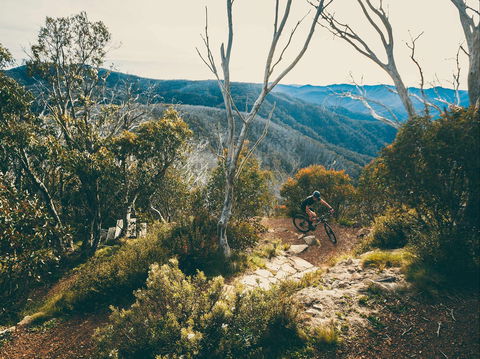 Australian Alpine Epic Mountain Bike Trail - Kempsey Accommodation 1