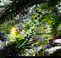 Byrrill Creek Walking Track - Kempsey Accommodation