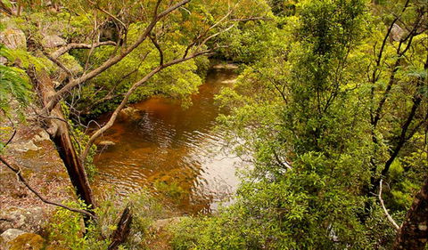 Girrakool Loop Track - Kempsey Accommodation 0