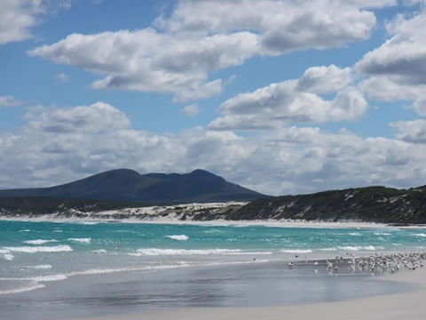 Hakea Walk Trail, East Fitzgerald National Park - Kempsey Accommodation 0