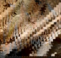 Jillabenan Cave - Kempsey Accommodation