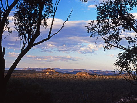 Ka Ka Mundi, Carnarvon National Park - Kempsey Accommodation 0