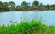 Lake Apex Park - thumb 1