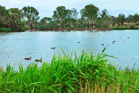 Lake Apex Park - Kempsey Accommodation 1
