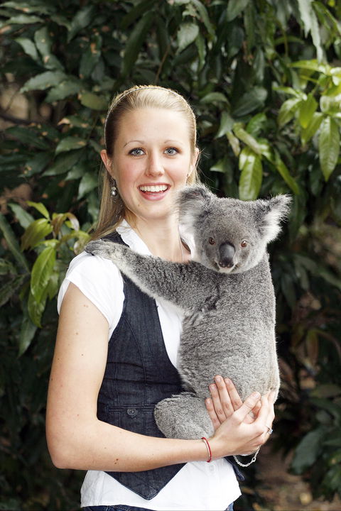 Lone Pine Koala Sanctuary - Kempsey Accommodation 1