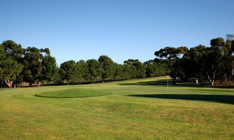 Mannum Golf Club - Kempsey Accommodation 0