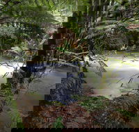 Marriotts Falls and Junee Caves - Kempsey Accommodation