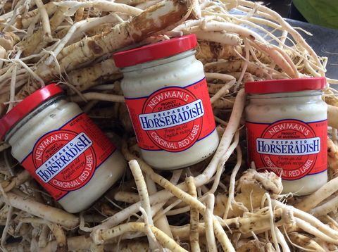 Newman's Horseradish Farm And Rusticana Wines - Kempsey Accommodation 0