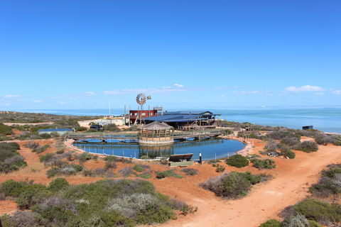 Ocean Park Aquarium - Kempsey Accommodation 1