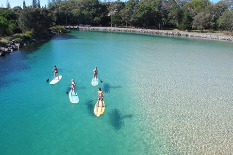 Paddleboard At Back Creek South West Rocks - Kempsey Accommodation 0