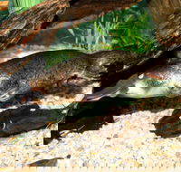 Platypus House - Kempsey Accommodation