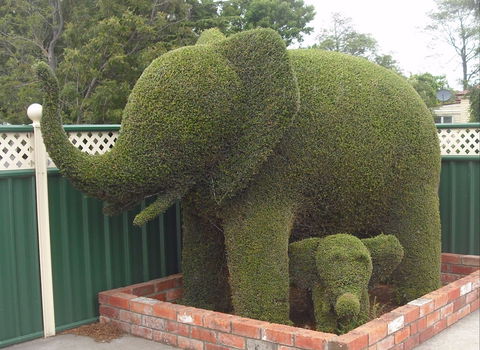 Railton: Town Of Topiary - Kempsey Accommodation 0