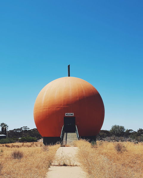 The Big Orange - Kempsey Accommodation 0